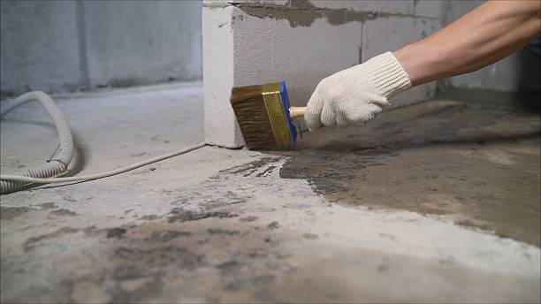 24/7 Emergency Wet Basement Repair experts in Osseo, MI
